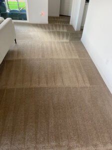 Local-Carpet-Cleaners